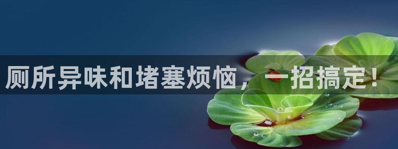 尊龙官网在哪里：厕所异味和堵塞烦恼，一招搞定！