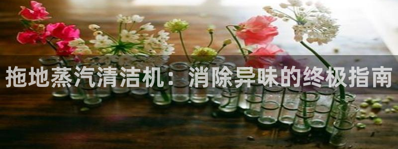尊龙 6