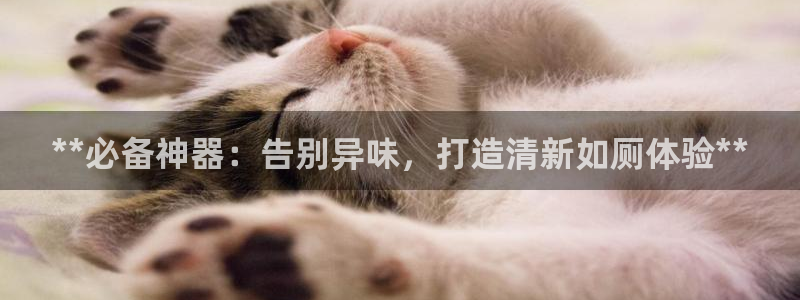 尊龙凯时平台信誉怎样