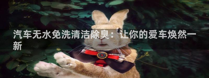 尊龙app登录不了：汽车无水免洗清洁除臭：让你的爱车焕然