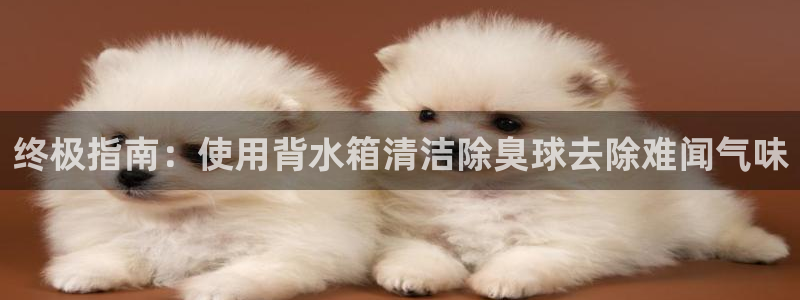 尊龙凯时人生就是搏平台：终极指南：使用背水箱清洁除臭球去