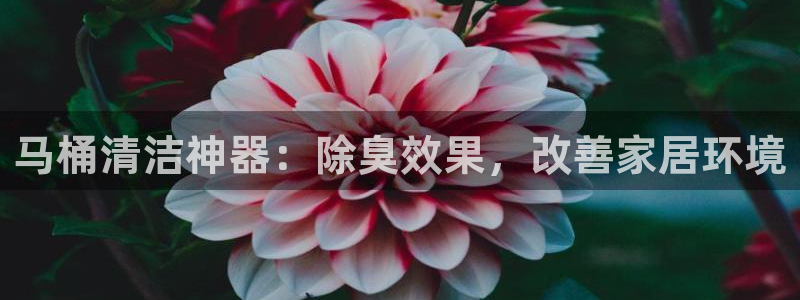尊龙凯时凯发官网