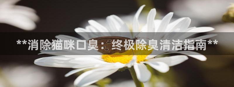 尊龙集团有限公司是国