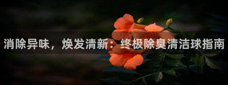 凯时ag旗舰厅：消除异味，焕发清新：终极除臭清洁球指南