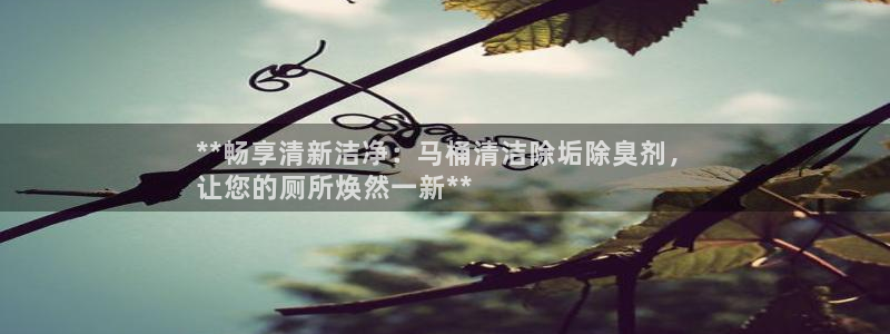 凯时国际app首页