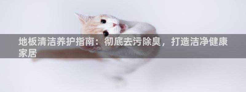 尊龙凯时集团：地板清