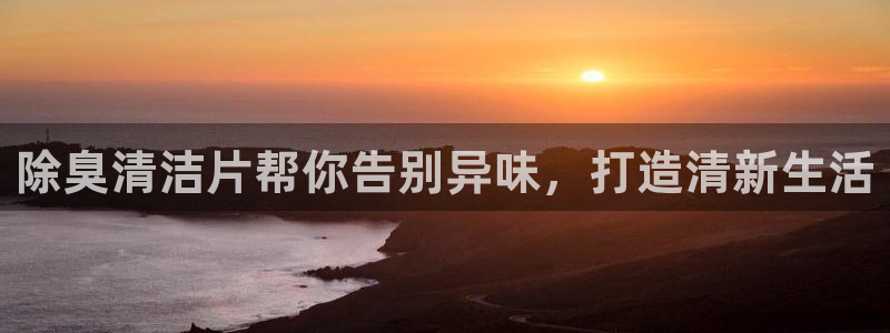 尊龙官网首页：除臭清洁片帮你告别异味，打造清新生活