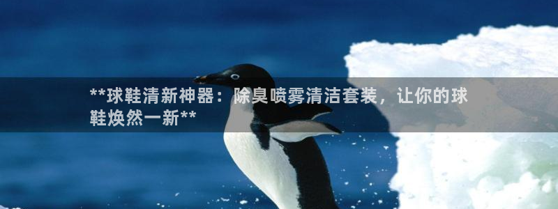 凯时k8娱乐唯一官网：**球鞋清新神器：除臭喷雾清洁套装
