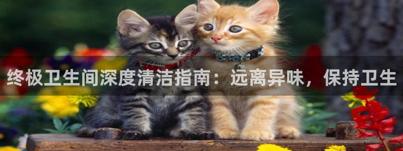 怎样能成为尊龙凯时平