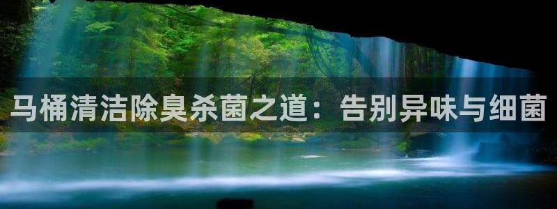 尊龙凯时法拉币：马桶清洁除臭杀菌之道：告别异味与细菌