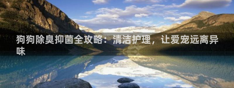 尊龙凯时国际：狗狗除臭抑菌全攻略：清洁护理，让爱宠远离异