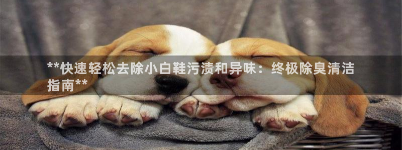 凯时国际平台有人赢吗
