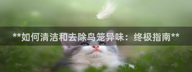 尊龙实业有限公司是正规还是仿