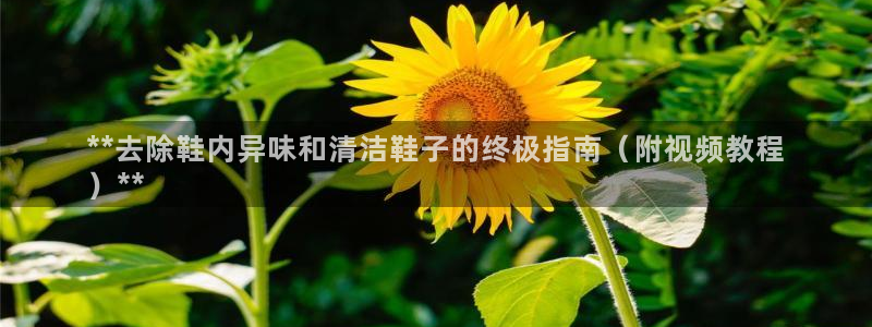 尊龙d88现金关注ag发财网