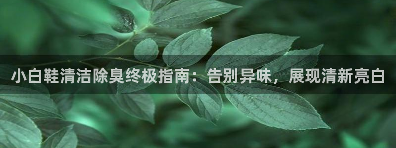 尊龙 贴吧：小白鞋清