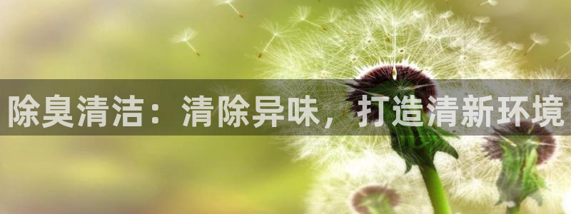 Z6尊龙凯时官方