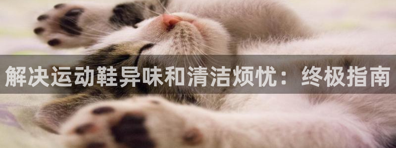 凯时尊龙app国际官方网站