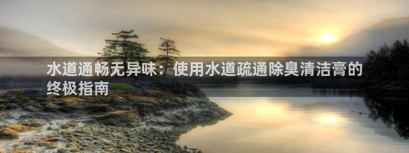 尊龙新版App下载：