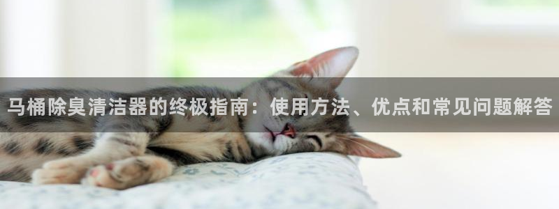 尊龙凯时手机版·(中