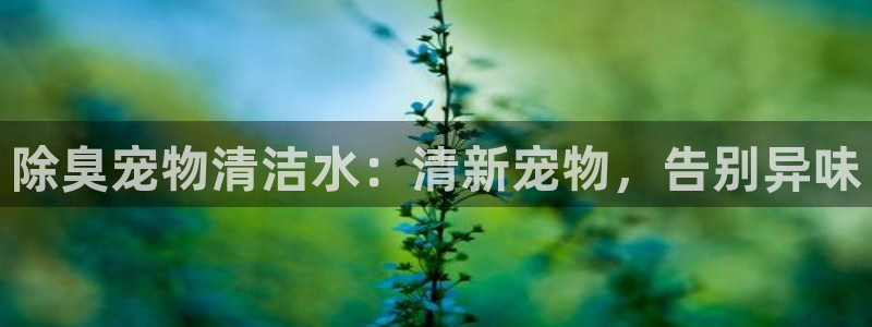 凯时kb88kb88