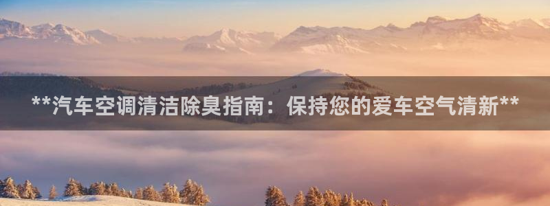 尊龙凯时ag旗舰厅官方网站：**汽车空调清洁除臭指南：保