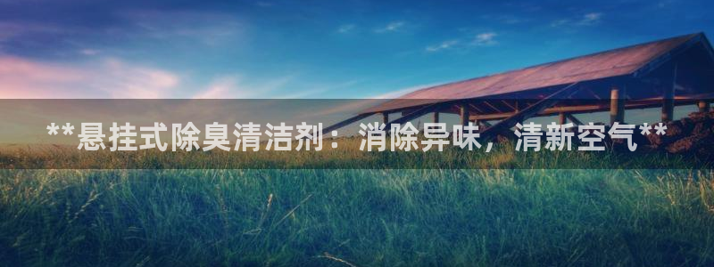 z6尊龙凯时官方：**悬挂式除臭清洁剂：消除异味，清新空