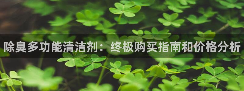 AG尊龙注册在线游戏：除臭多功能清洁剂：终极购买指南和价