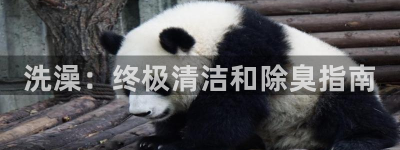 尊龙凯时网页版：洗澡：终极清洁和除臭指南
