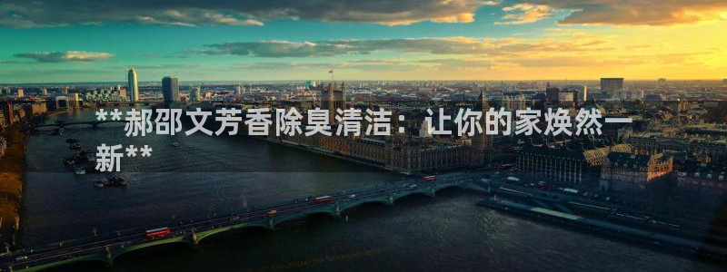 尊龙游戏中心：**郝邵文芳香除臭清洁：让你的家焕然一
新