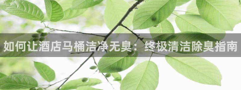 尊龙新版登录网址下载：如何让酒店马桶洁净无臭：终极清洁除