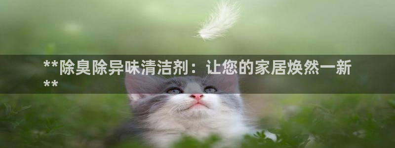 尊龙凯时用户名m：**除臭除异味清洁剂：让您的家居焕然一