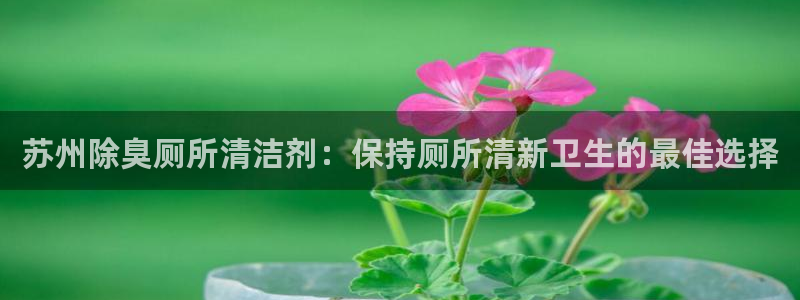 尊龙凯时总部在哪里：苏州除臭厕所清洁剂：保持厕所清新卫生