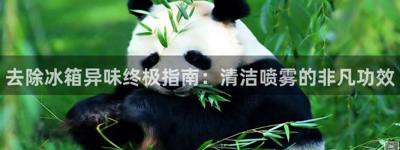 尊龙网平台：去除冰箱异味终极指南：清洁喷雾的非凡功效