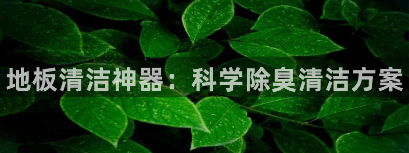 尊龙官方网站最新版V9.3.06介绍