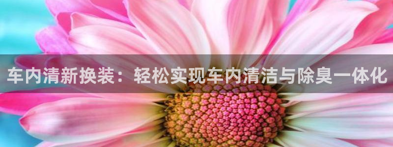 凯时尊龙app国际官方网站