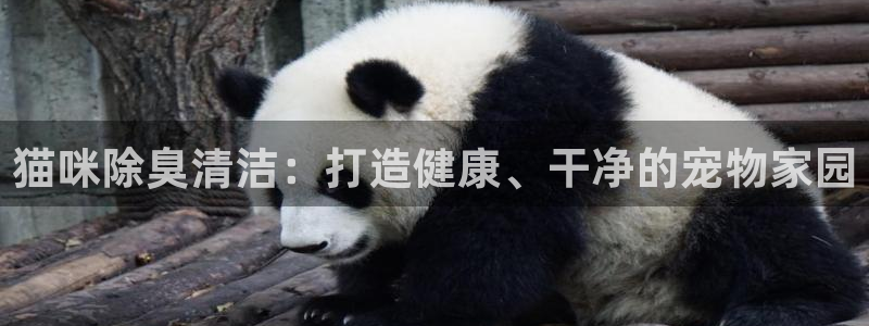 尊龙最近一次露面