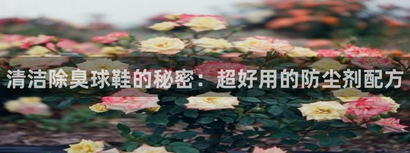 尊龙新版app首页