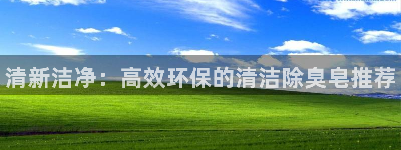 尊龙手机版
