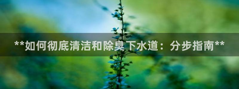 尊龙人生就是博旧：*