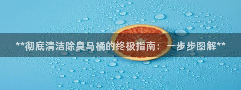 尊龙手机客户端下载A