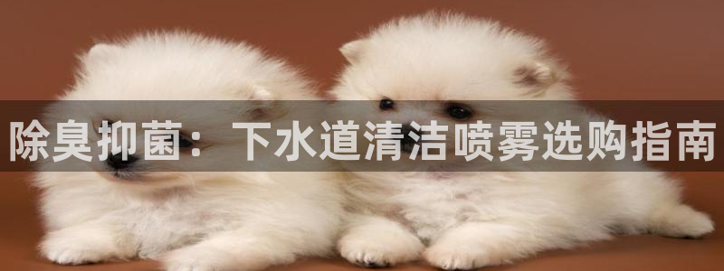 凯时是AG优质运营商