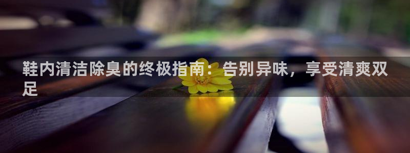 尊龙新版手机app下