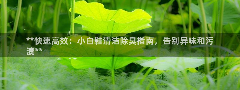 下载尊龙app：**快速高效：小白鞋清洁除臭指南，告别异