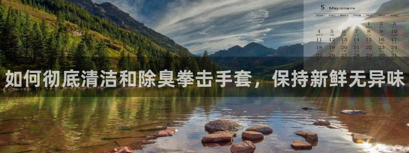尊龙凯时 - 人生就是搏有假吗：如何彻底清洁和除臭拳击手套，