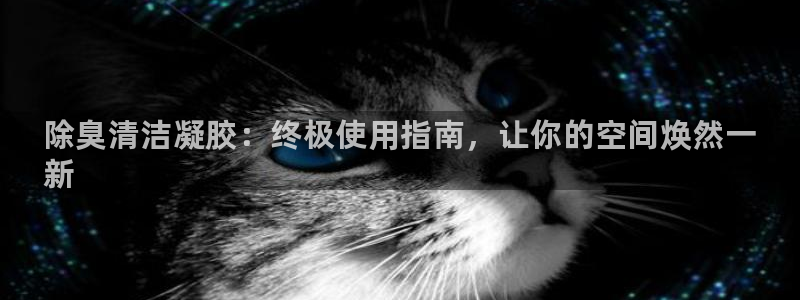 尊龙人生就是博官：除臭清洁凝胶：终极使用指南，让你的空间