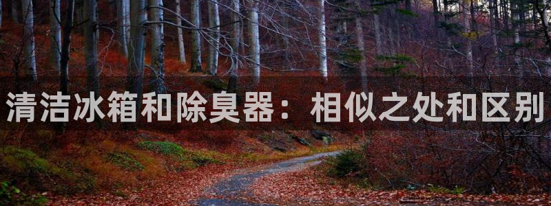 尊龙凯时代理能提出来不：清洁冰箱和除臭器：相似之处和区别