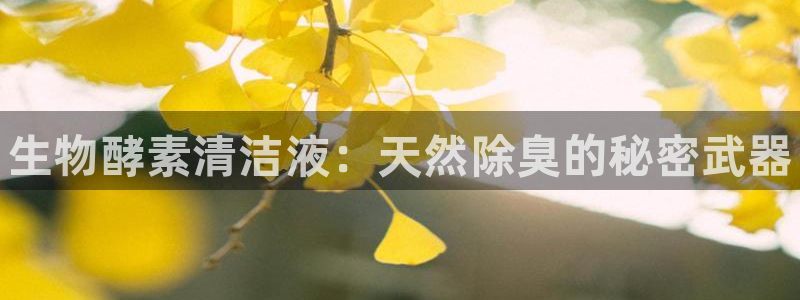 凯时k88最新：生物酵素清洁液：天然除臭的秘密武器