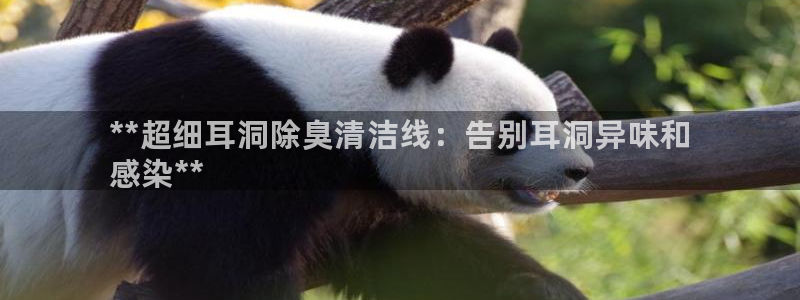 尊龙官网手：**超细耳洞除臭清洁线：告别耳洞异味和
感染**