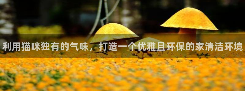 尊龙凯时取款24小时不到账