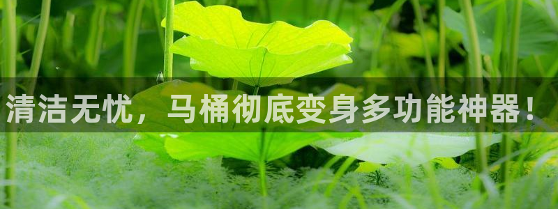 尊龙ag旗舰厅手机版